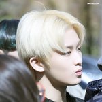 [댓글부탁해] 핑크에이지 <b>가발</b> 테스트 가능행??