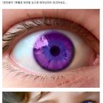 [댓글부탁해] 이걸로 아직도 <b>선동</b>하는애들있냐ㅅㅂ