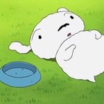 [드루와] 아 조카 배불러 슈<b>밤바</b>