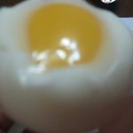 [EXO] <b>애벌레</b> 부화시킨거 볼래?