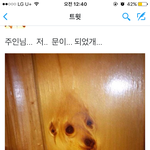 [댓글부탁해] <b>학생증</b> 잃어버렸어 어캄ㅠㅠ
