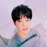 [세븐틴] ㅅㄷ 캐럿봉 양도말곤 방법 없는거야,,?ㅠㅠ