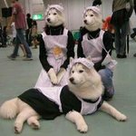 [댓글부탁해] 나 꿈에서 <b>장용준</b>이랑