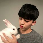 [세븐틴] 왜 나는 이번 <b>생이</b> 자 토끼가 아닌깔