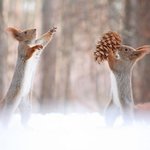 우리 싸운거 2년전 아님? ㅋㅋ