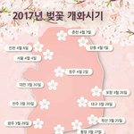 [EXO] 민석이 생일 때 포2항에 벚꽃이 <b>피네</b>