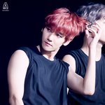 [백현] 백현이 <b>팔뚝</b>살 <b>운동</b> 많이해도