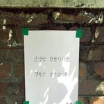 <b>실장</b>누구뽑을거야?? 추반하쟈!!
