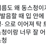 [NCT] 동스청이라는 <b>이름</b> ㅋㅋㅋㅋ