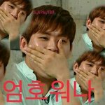 [인피니트] 울림 안에 잘생김 열매있지