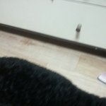 [EXO] 야 방금말린털이라 ㅈㄴ극<b>세사</b>임 만져봐