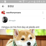 [세븐틴] ㅅㄷ민규의 플디 <b>입사</b> <b>첫날</b>