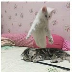 나 웃을<b>때눈</b>이 ㄹㅇ부자연스럽게돼ㅠㅠㅠ