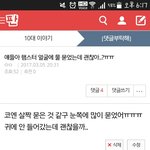 [댓글부탁해] 얘들아 어제 이 글 올린 <b>햄찌</b> 주인인데..ㅠ