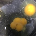 미친 친구 계란에 <b>노른자</b> 4개 나옴ㅌㅌㅋㅋㅋㅋㅋㅋ