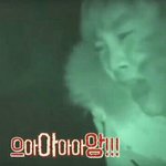 [세븐틴] 근데 진짜 우리 공카 왜저렇게됨?