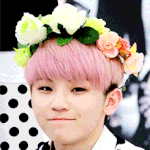 [세븐틴] ㅅㄷ 오늘 반에서 캐럿 찾았당!