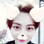 [세븐틴] ㅅㄷ캐로시들도 오늘 유독 보고 싶은 멤버 있니?