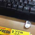 [30대] 오늘도 지친 몸을 이끌고