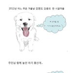 [콜로라도] <b>치매</b> 할아버지를 구한 풍산개 이야기.jpg