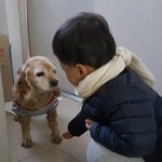 [강아지] 15살 우리<b>이뿌니</b>또또