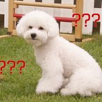 [EXO] 고급식 1.2학년 아이들아 <b>야자</b> 언제부터 시작한대?