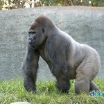 [ㅋㅋㅋㅋㅋ] 나 <b>방학때</b> 언니랑 나랑 단결함ㅋㅋㅋㄱㅋㅋㅋ