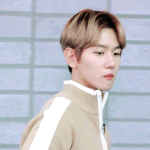 [백현] 아미고<b>TV</b>  예고1_백현 움짤  B