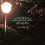 같이 다니는 애가 <b>소문</b>이 안좋은데