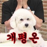 우리<b>반</b> 친화력 개쩜