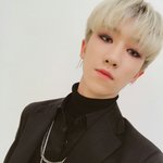 [세븐틴] ㅇㄱㄹㅇ아니야??ㅋㅋㅋㅋㅋㅋㅋ