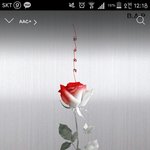 [BAP] 미친 파친 솔친