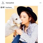 인스타 하다가 본건데