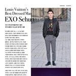 [세훈] 팬이 만든 후니 VOUGE 컷