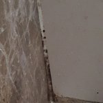 [댓글부탁해] 애들아 이거 좀 봐줘ㅋㅋㅋㅋㅋ 이게 <b>청소업체</b>쓴거임