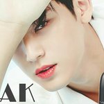 [세븐틴] ㅅㄷ 우리 <b>1</b>~<b>2</b>년만 지나도