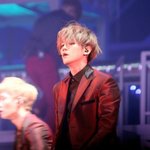 [EXO] <b>꽃뱀</b>이 맞는거 같냐 흰돼지가 맞는거같냐?