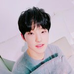 [세븐틴] 근데 애들은 진짜 즐기는거가탱