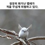 [댓글부탁해] 너넨 <b>판</b> 어떻게 알게 됬어?
