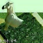 [댓글부탁해] 너네 <b>반티</b> 뭐냐