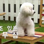 [EXO] 쟤네 아침부터 왜<b>저럼</b>ㅋㅋㅋ