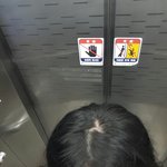 <b>여성탈모</b> 심각한 건지 봐주세요ㅠㅠ