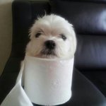 <b>반</b>배정은 <b>이</b> 부분은 괜찮거든?