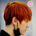 [백현] 하네다<b>공항</b> 입국 프리뷰 #백현 귀여워ㅠㅜ