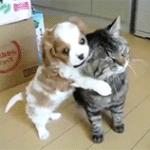 [VIXX] 이거 <b>학연</b>이랑 택우니가태 ㅜㅜ