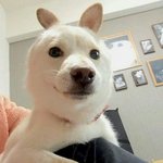 [댓글부탁해] 나 <b>다음주</b>에 전학가는데~~~~