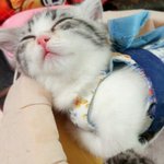 난 <b>이</b>만 <b>잔</b>댜~