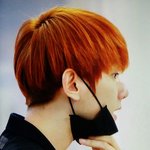 [EXO] 백현이 귀여운 짤