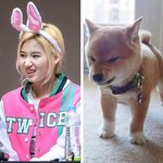 [모두드루와] 진 <b>사나</b> 연애 증거 뜸