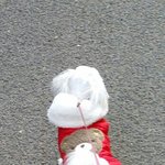 [내동생쫑이] 내동생 쫑이